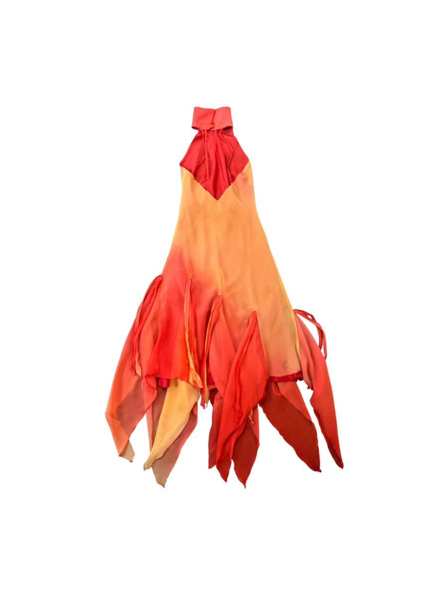 Claudia Cooper Ombre Halter Neck Maxi Dress