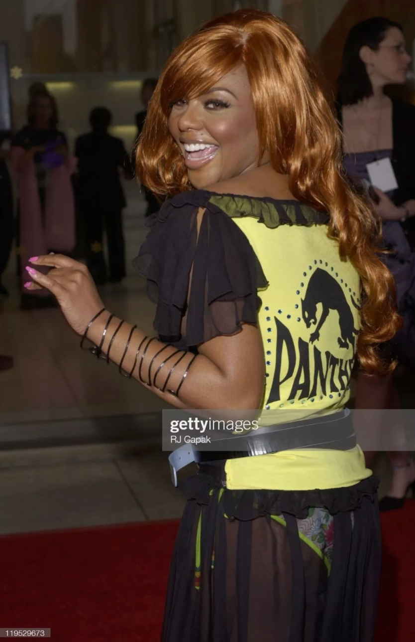 Dolce & Gabbana “Panther” Sheer Top