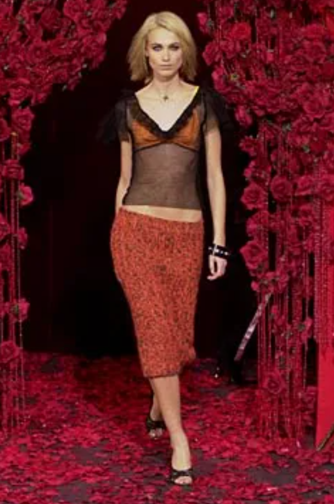 Dolce & Gabbana “Panther” Sheer Top