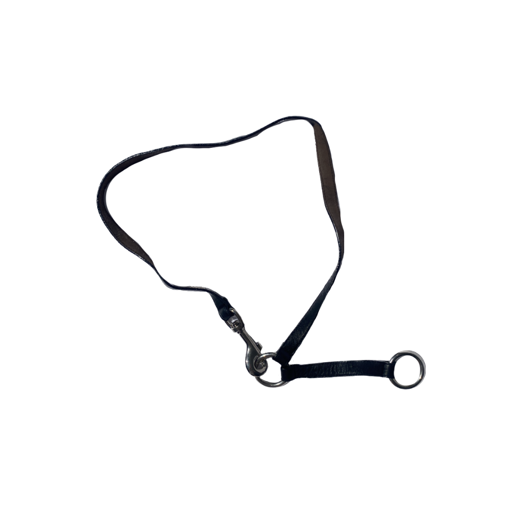 Bebe 90’s Belt