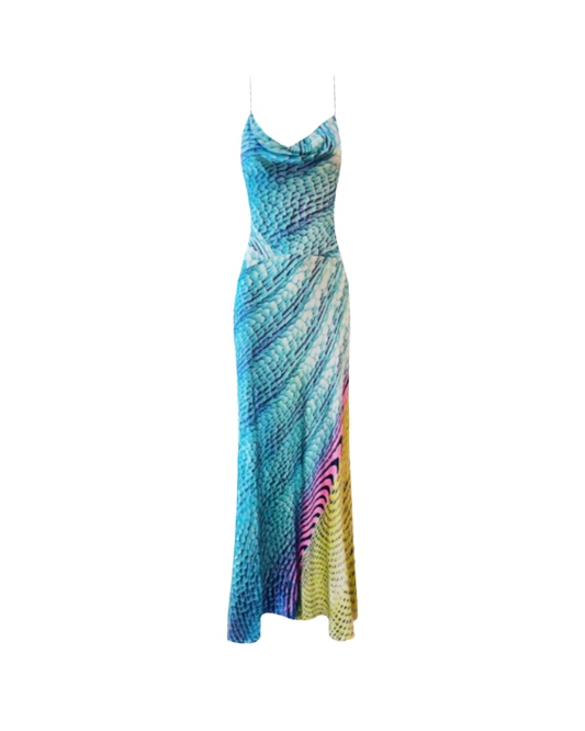 Roberto Cavalli Multicolor Printed Silk Gown