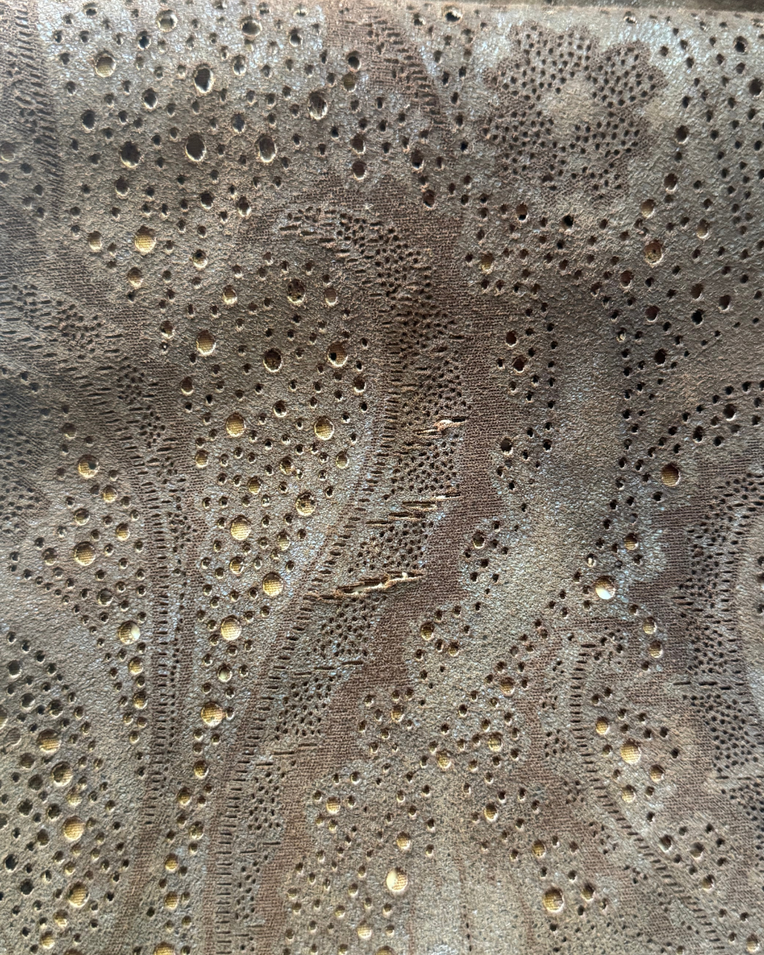 Roberto Cavalli Brown Leather Pants