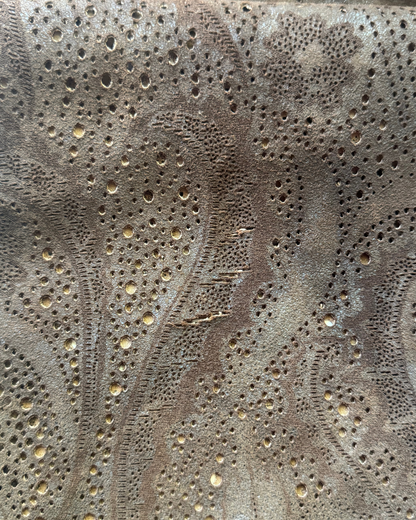 Roberto Cavalli Brown Leather Pants