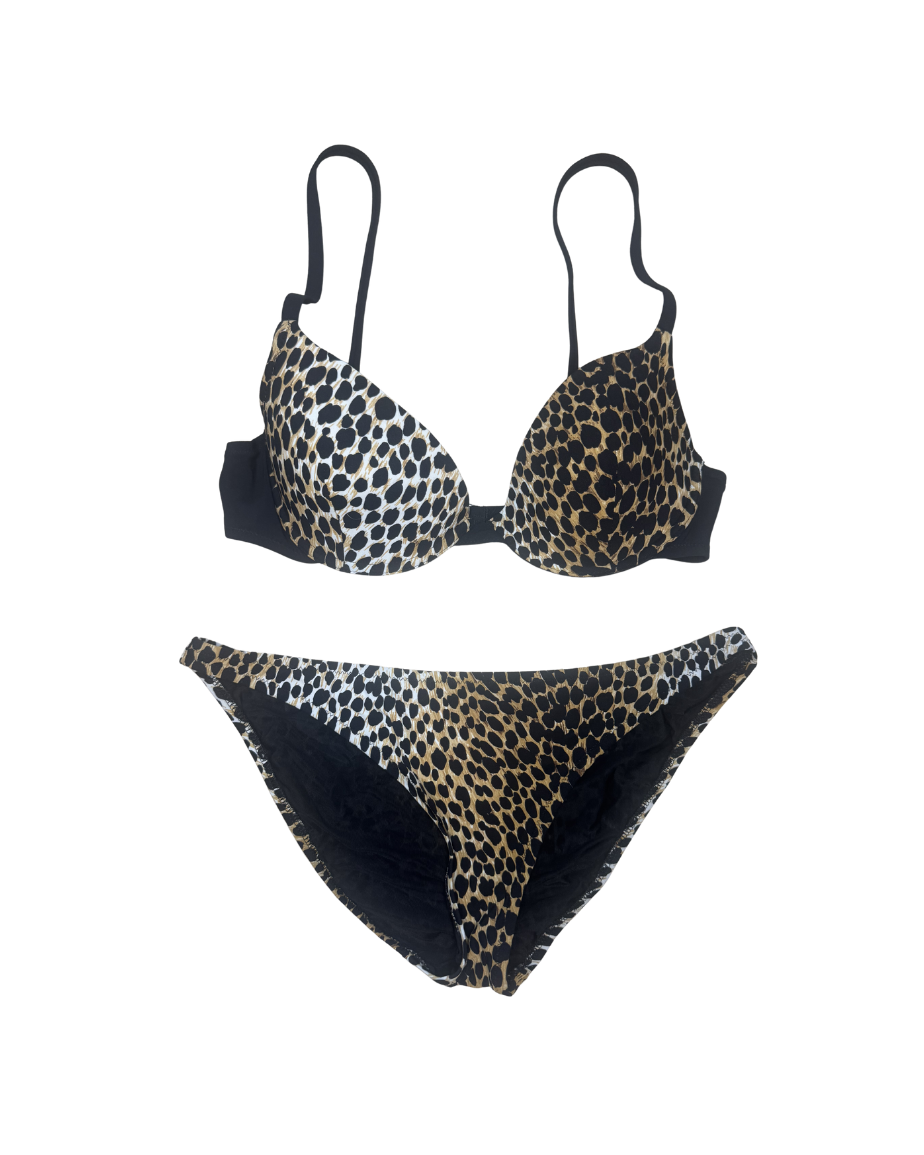 Dolce & Gabbana Leopard Bikini