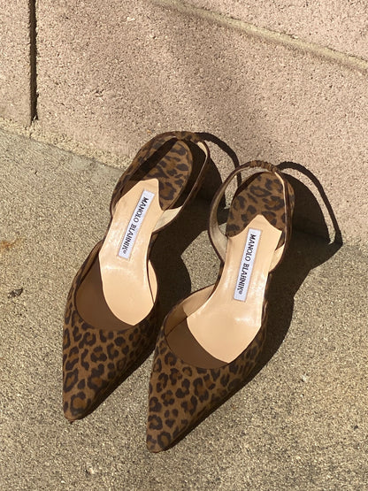 Manolo Blahnik Leopard Slingbacks