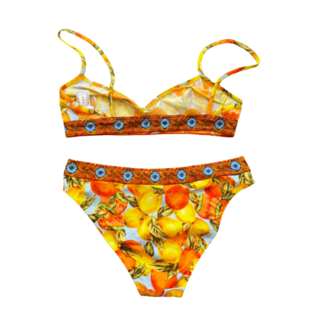 Dolce & Gabbana Printed Bikini