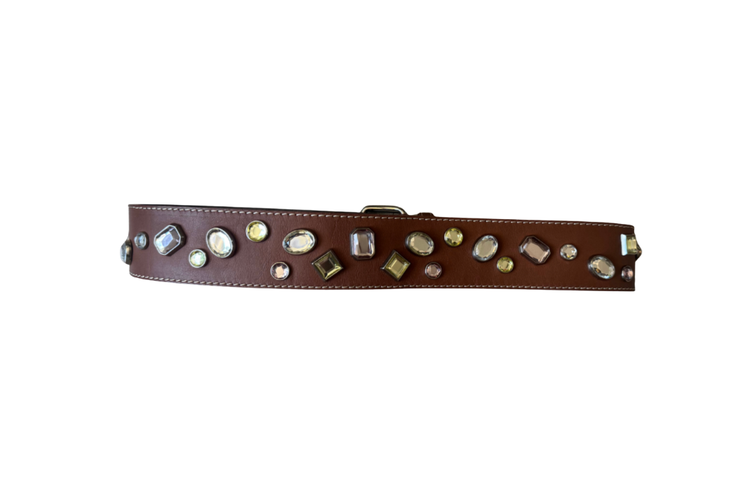 Celine Crystal Studded Belt