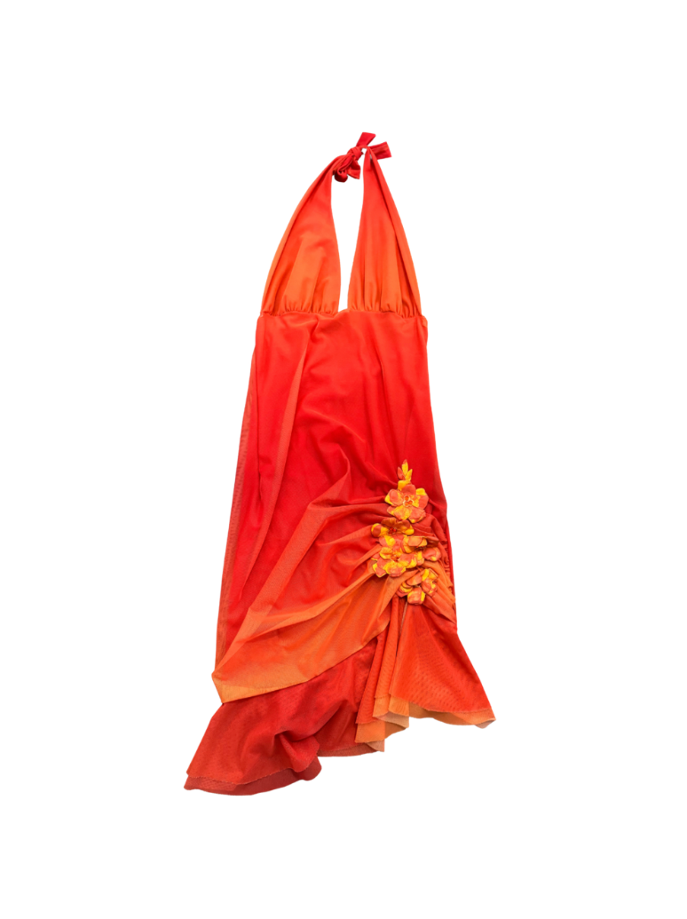 Ema Savahl Ombré Halter Dress w/ Floral Appliqué