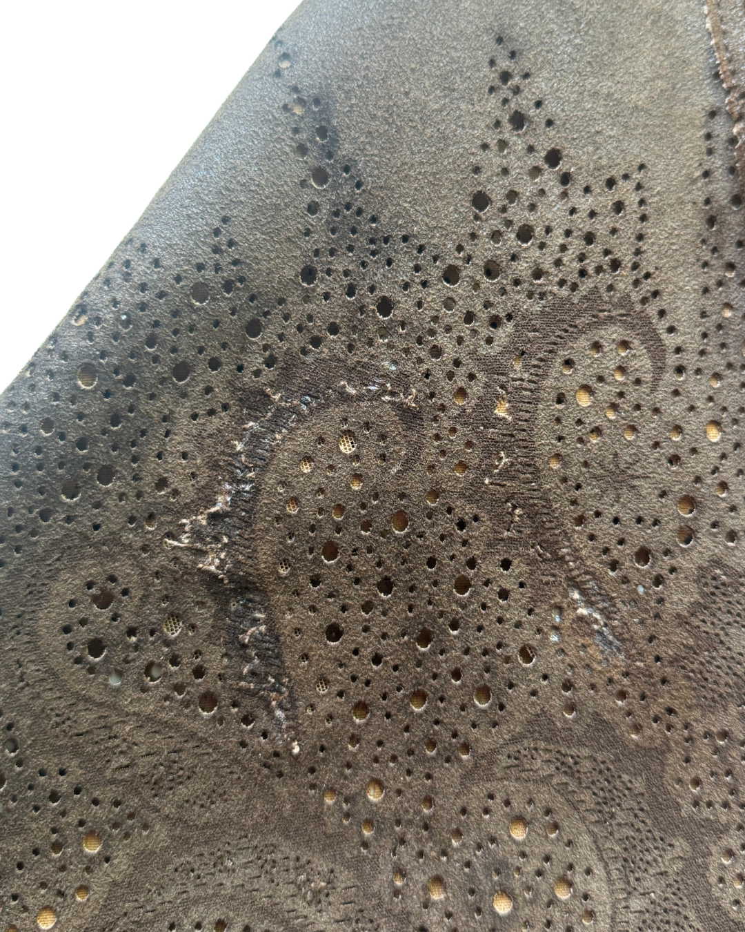 Roberto Cavalli Brown Leather Pants