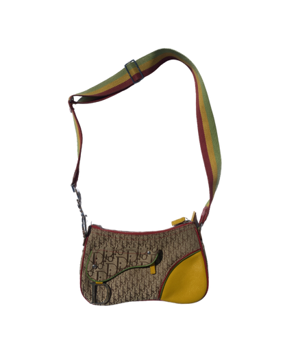 Christian Dior ‘Rasta’ Double Saddle Crossbody Bag