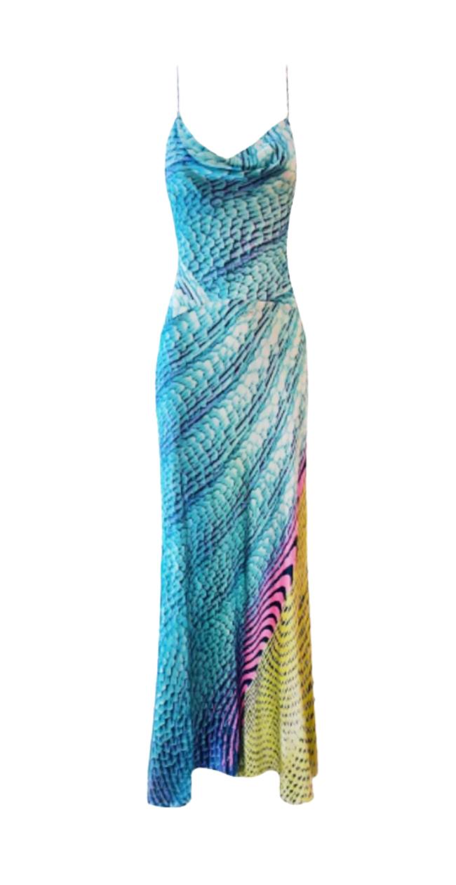Roberto Cavalli Multicolor Printed Silk Gown