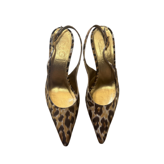 Dolce & Gabbana Leopard Pumps w/ Rhinestone Buckle