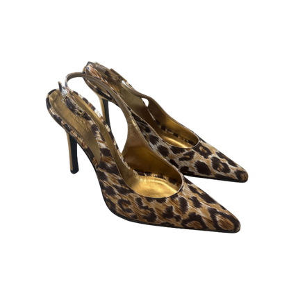 Dolce & Gabbana Leopard Pumps w/ Rhinestone Buckle