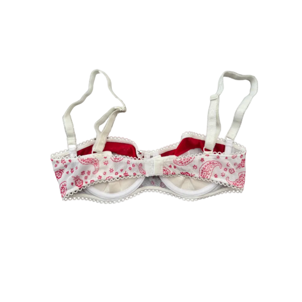 Dolce & Gabbana Mesh Paisley Bra