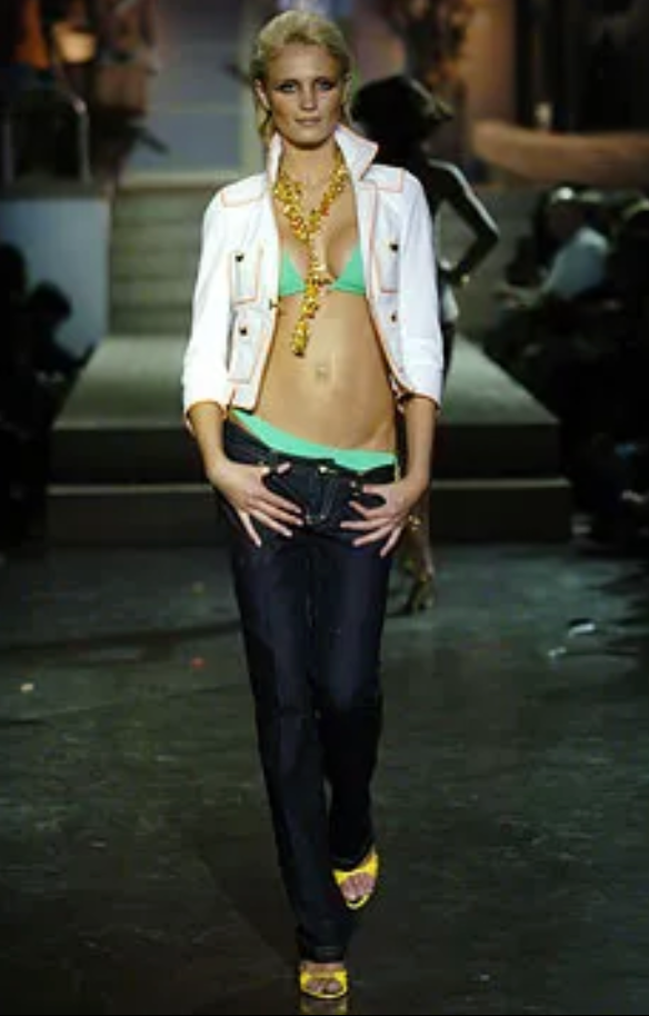 Dsquared² Low Waisted Crab Embellished Jeans
