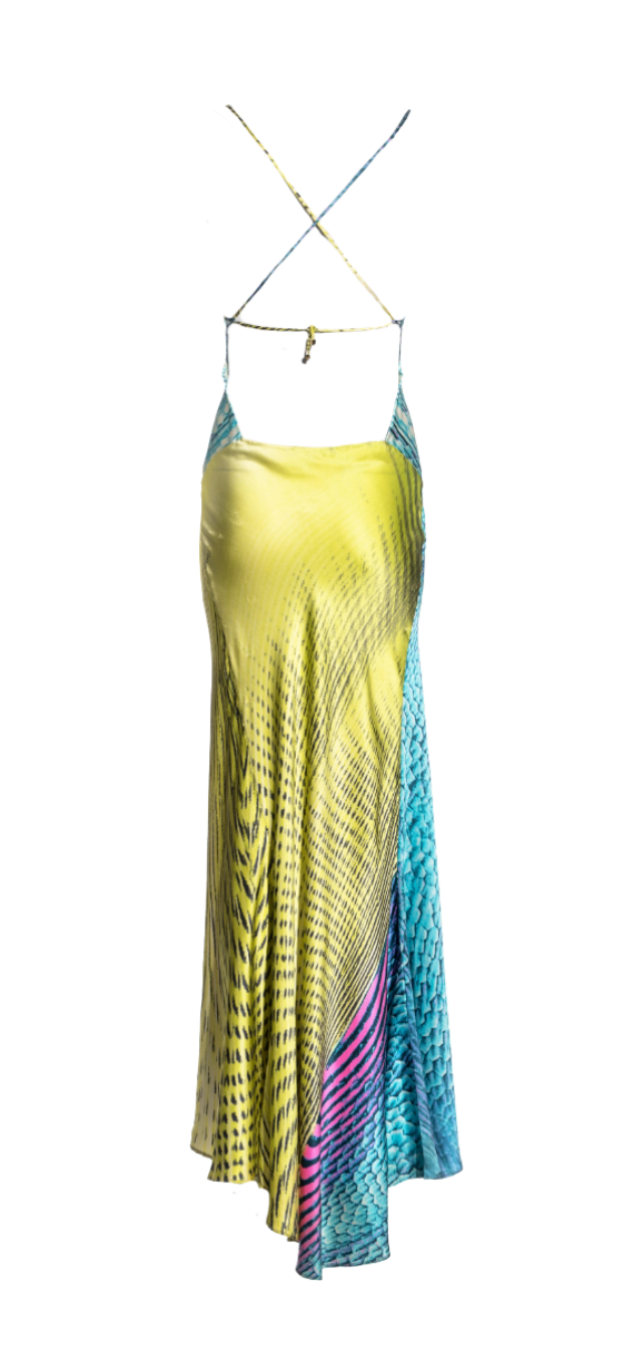 Roberto Cavalli Multicolor Printed Silk Gown