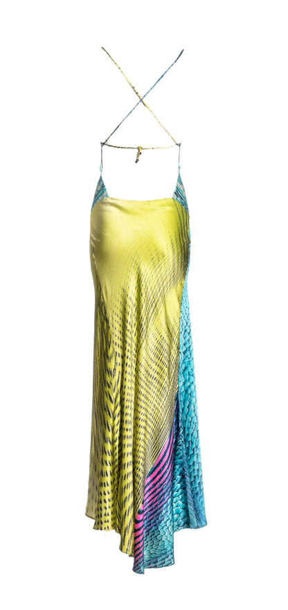 Roberto Cavalli Multicolor Printed Silk Gown